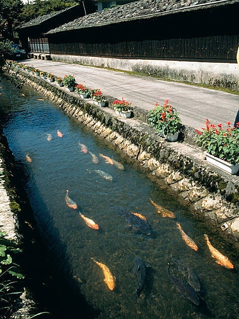 大堰 - （山形県）の詳細情報 ｜ ことりっぷ