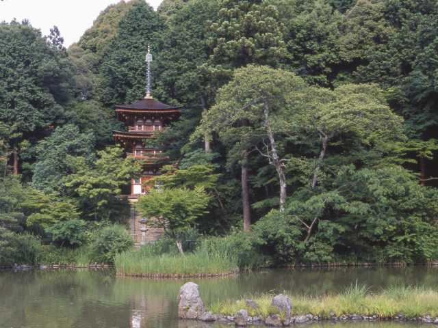 【中古】 極める・日本の美と心 京都の名刹 8 一休寺・浄瑠璃寺 Amazon.co.jp: 極める・日本の美と心 京都の名刹 8 一休寺