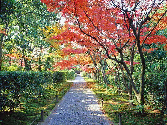 桂離宮 - （京都府）の詳細情報 ｜ ことりっぷ