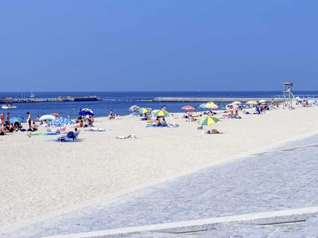箱作ピチピチビーチ - （大阪府）の詳細情報 ｜ ことりっぷ