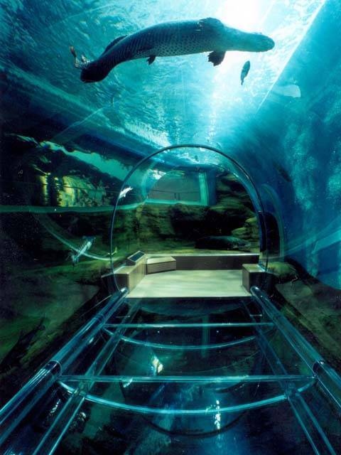 神戸市立須磨海浜水族園 - （兵庫県）の詳細情報 ｜ ことりっぷ