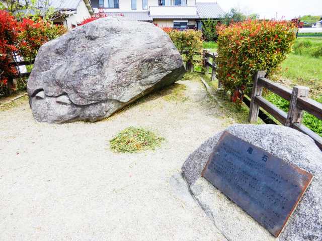 亀石(天然石) 楽天市場】【1個】亀 Turtle タイガーアイ かめ 天然石 インテリア