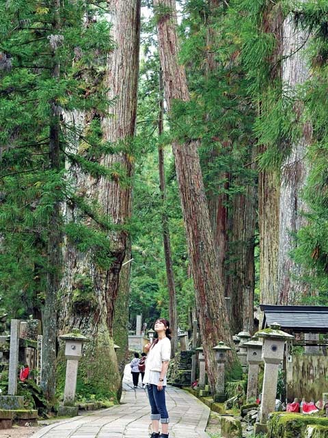魔除け　金運爆上げ　高野山奥之院 弘法大師御廟の本物の檜皮入り　共生御守り護符 魔除け 高野山奥之院 御廟の本物の檜皮入り 共生御守り