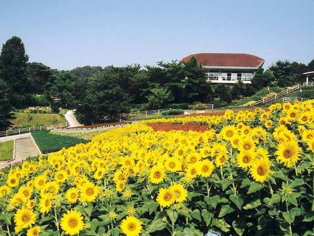 和歌山県植物公園緑花センター ことりっぷ厳選 おでかけ 観光情報