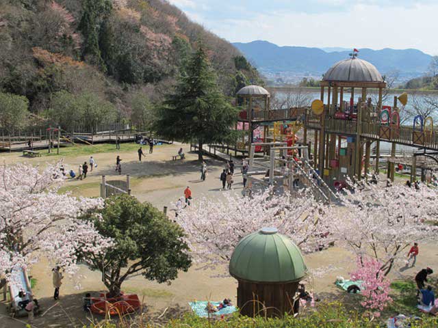 和歌山県植物公園緑花センター ことりっぷ厳選 おでかけ 観光情報