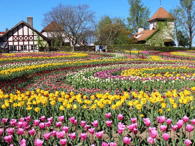 岡山農業公園 ドイツの森 クローネンベルク ことりっぷ厳選 おでかけ 観光情報