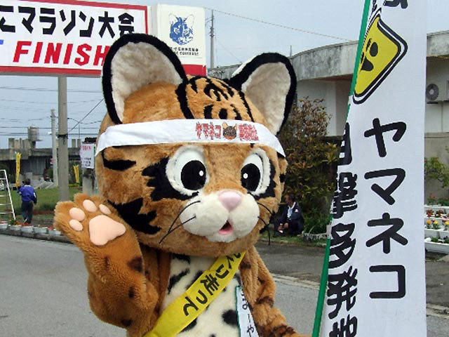 竹富町やまねこマラソン - （沖縄県）の詳細情報 ｜ ことりっぷ