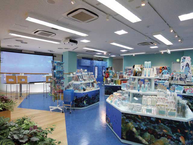 沖縄美ら海水族館アンテナショップ うみちゅらら ことりっぷ厳選 おでかけ 観光情報