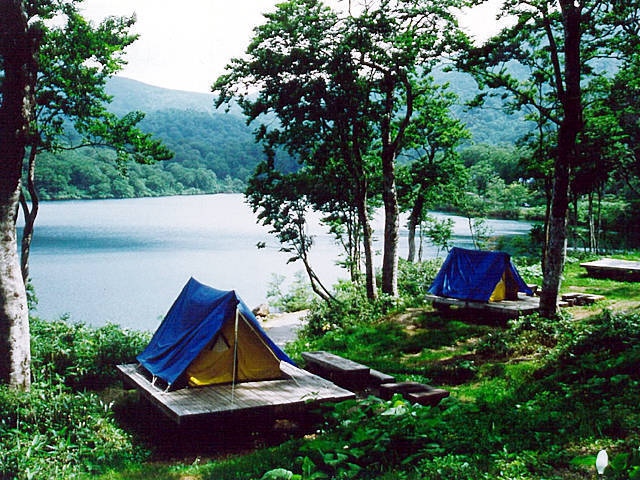 トップ 須川湖キャンプ場 ペット