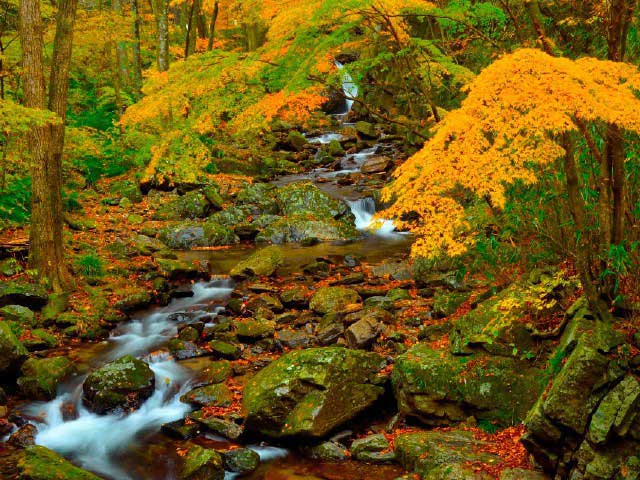 花園渓谷 - （茨城県）の詳細情報 ｜ ことりっぷ