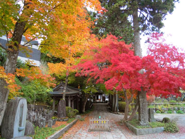 美しい自然と感性が刺激されるアート旅、秋の箱根へ