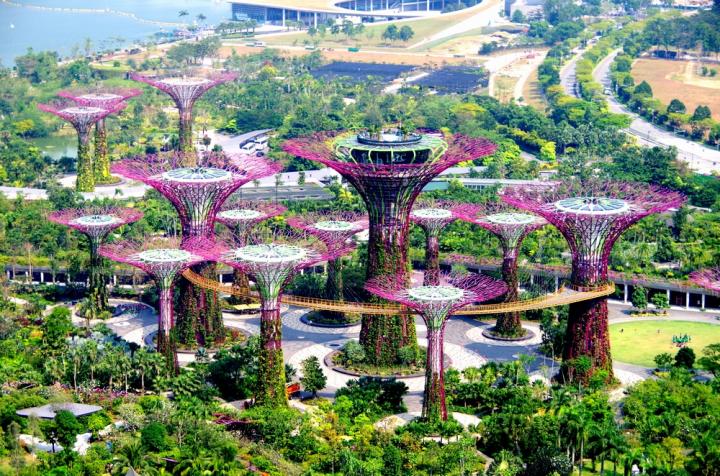 食と夜景を楽しむ、はじめてのシンガポール