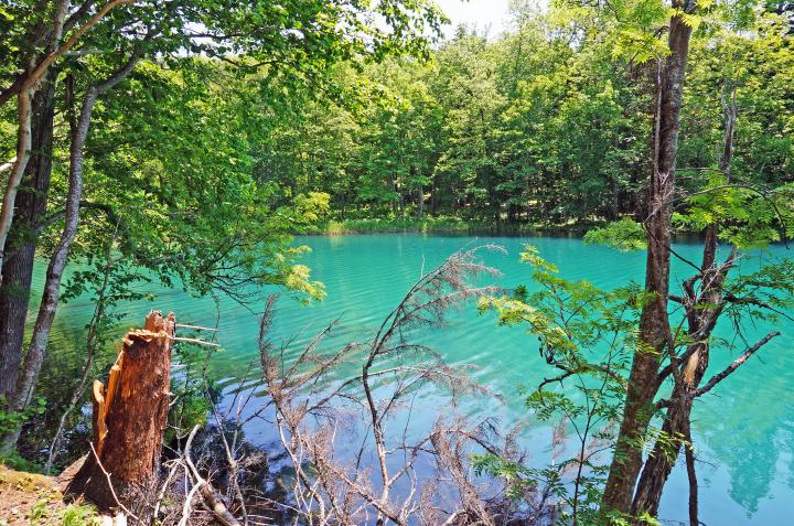 五色に変わる神秘の湖、オンネトーの湖畔をのんびり散策