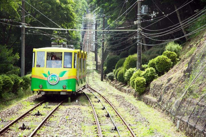 秋の高尾山は、おいしいものがいっぱいです。