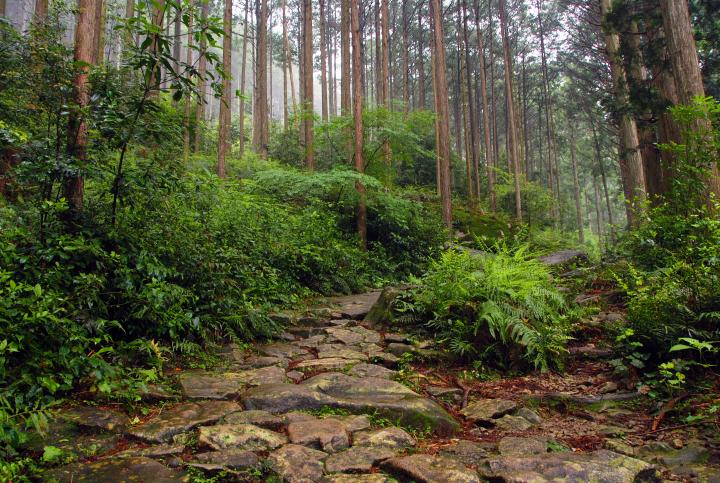 熊野古道・三重県紀北町へ、1泊2日の旅 その１